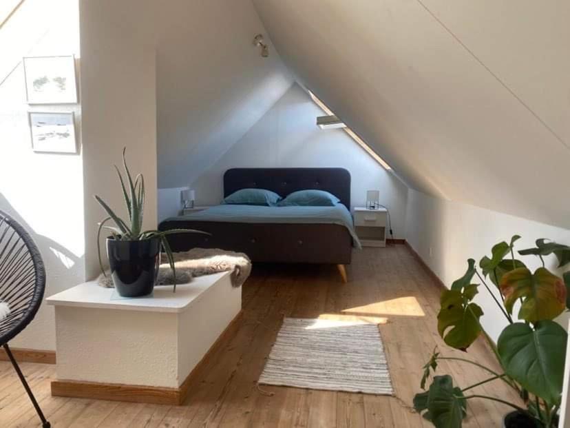 Christina Appartement Aalborg Buitenkant foto