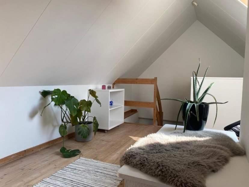 Christina Appartement Aalborg Buitenkant foto